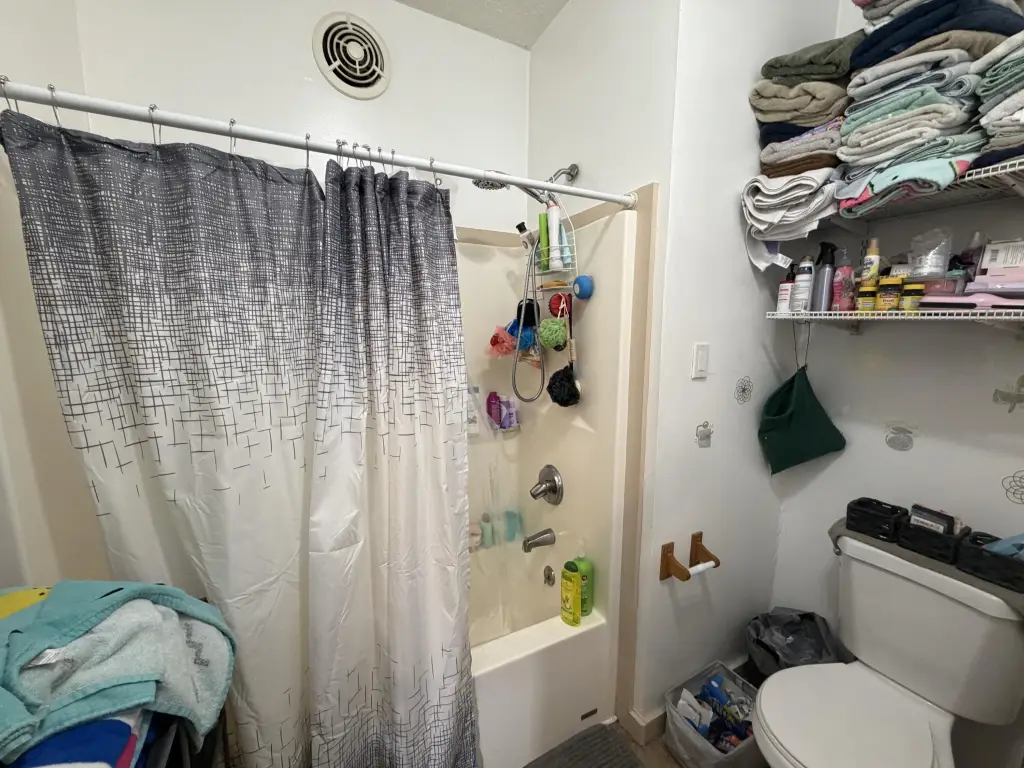 Picture 39