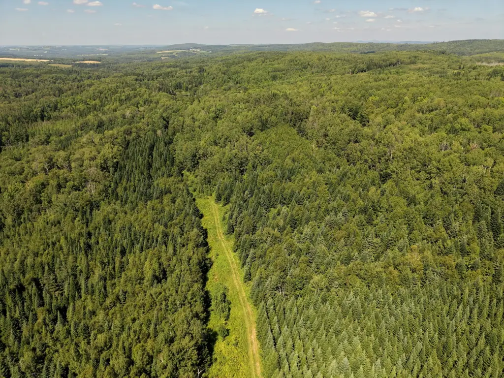 Picture 12