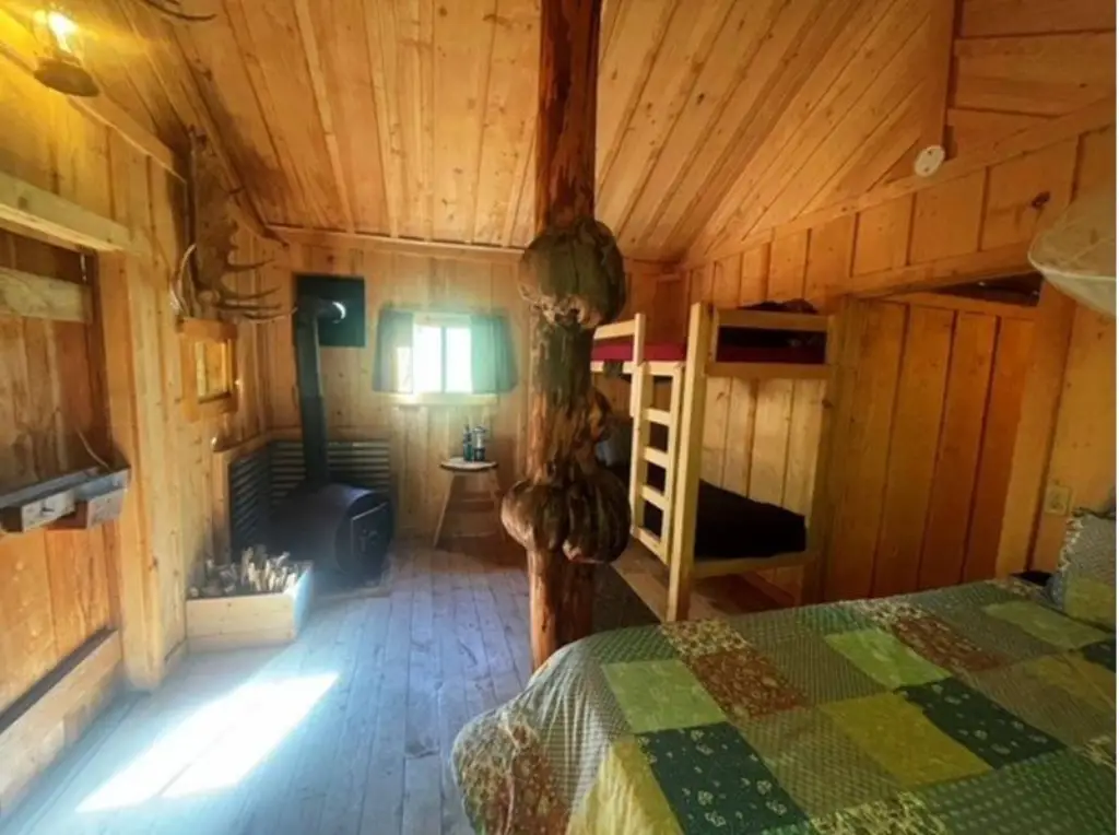 Picture 20