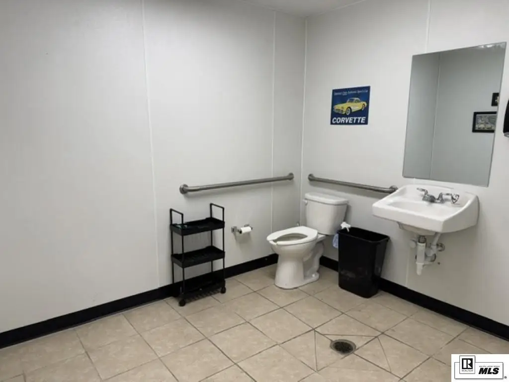 Picture 11