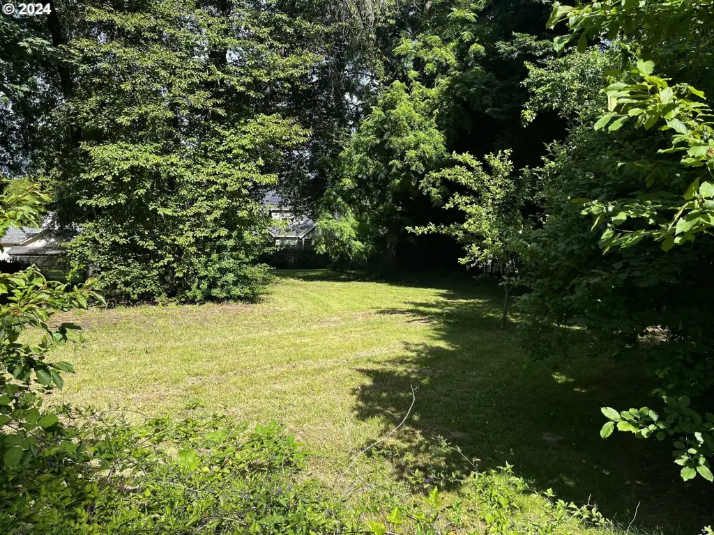 Picture 10