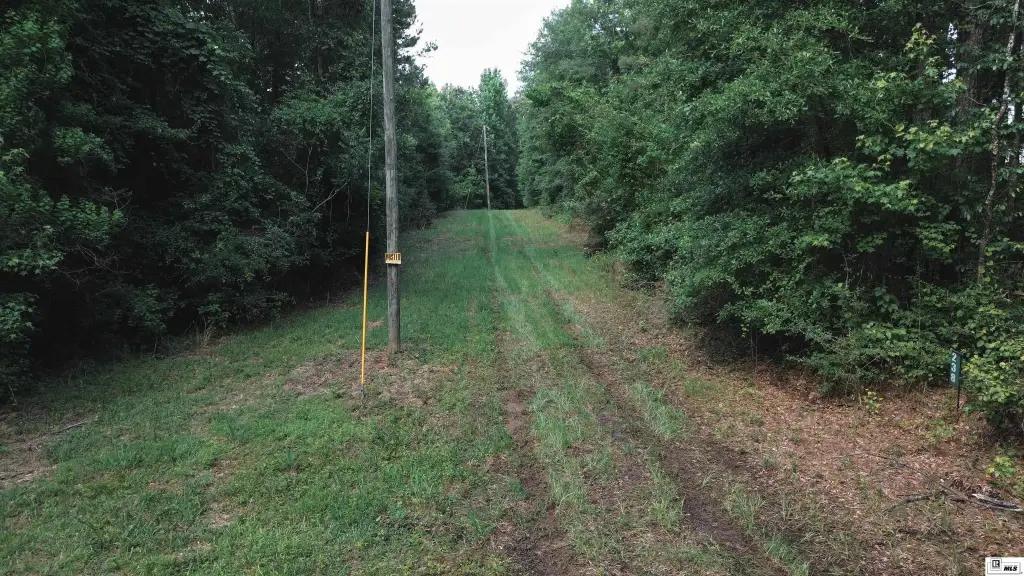 Picture 23