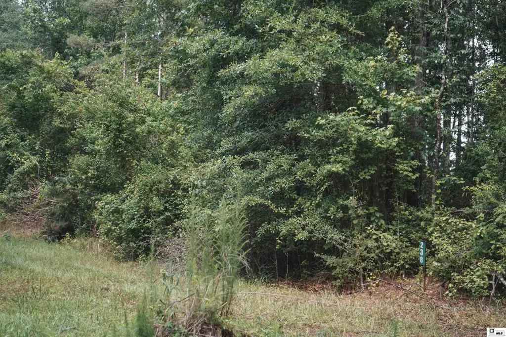 Picture 16
