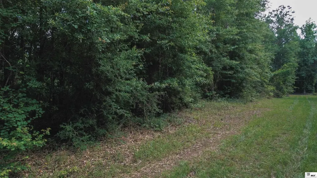 Picture 29