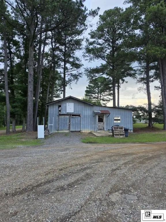 Picture 5