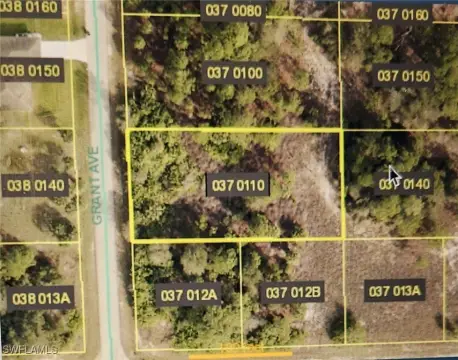 Lehigh Acres Land Opportunity
