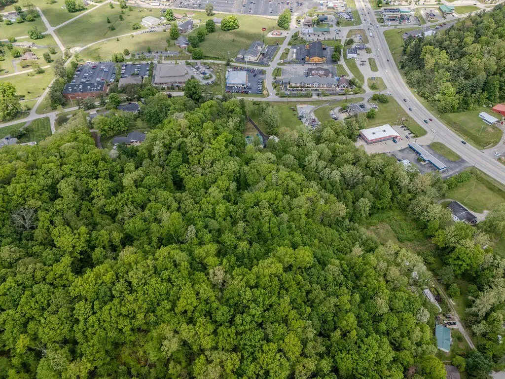 Picture 21
