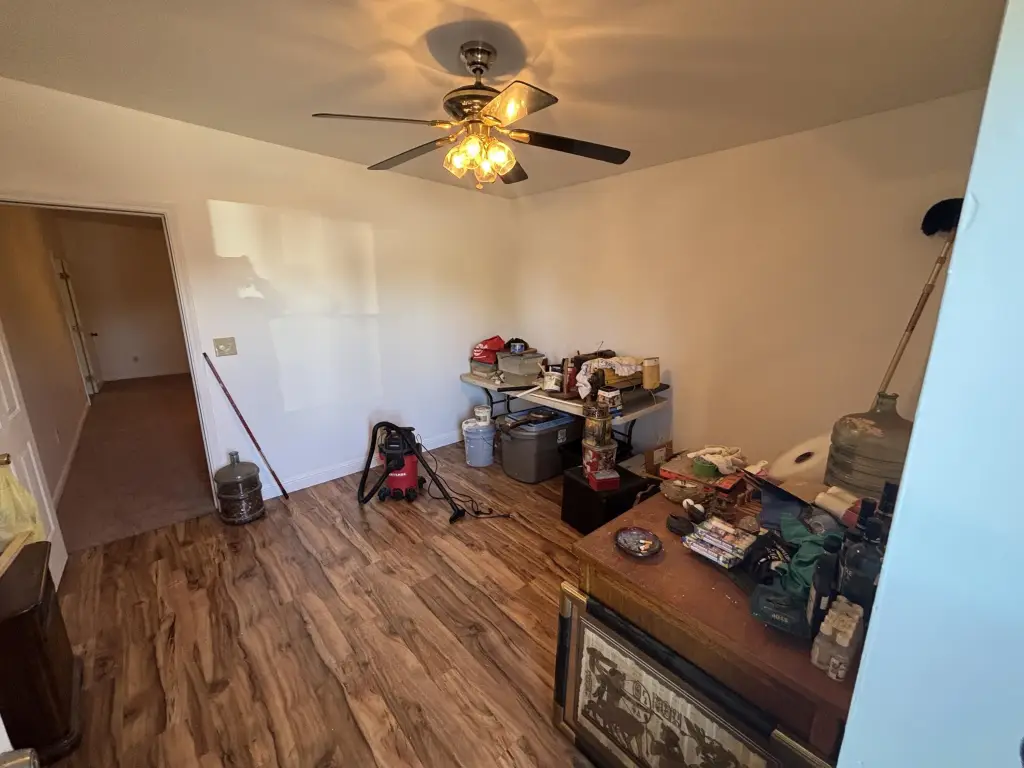 Picture 19