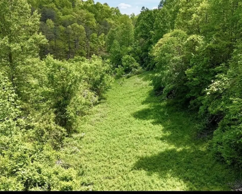 Picture 18
