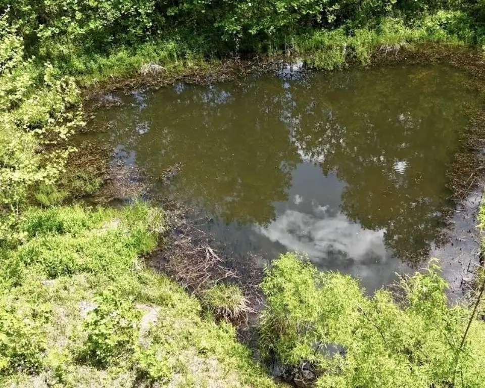 Picture 10