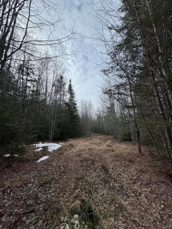 Picture 15