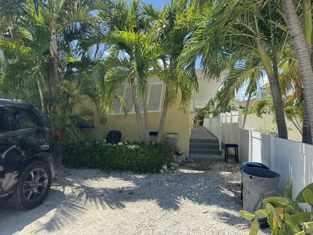 Picture 20