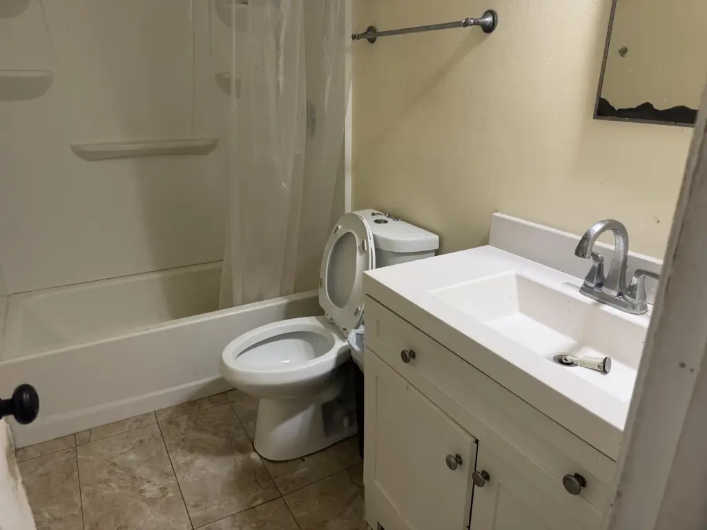 Picture 6
