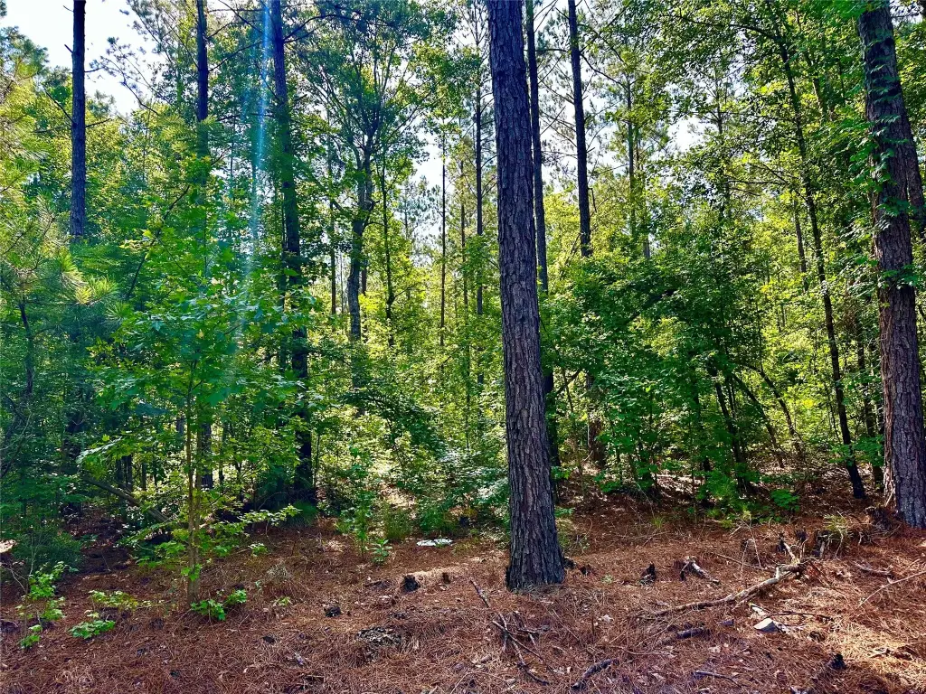 Picture 4