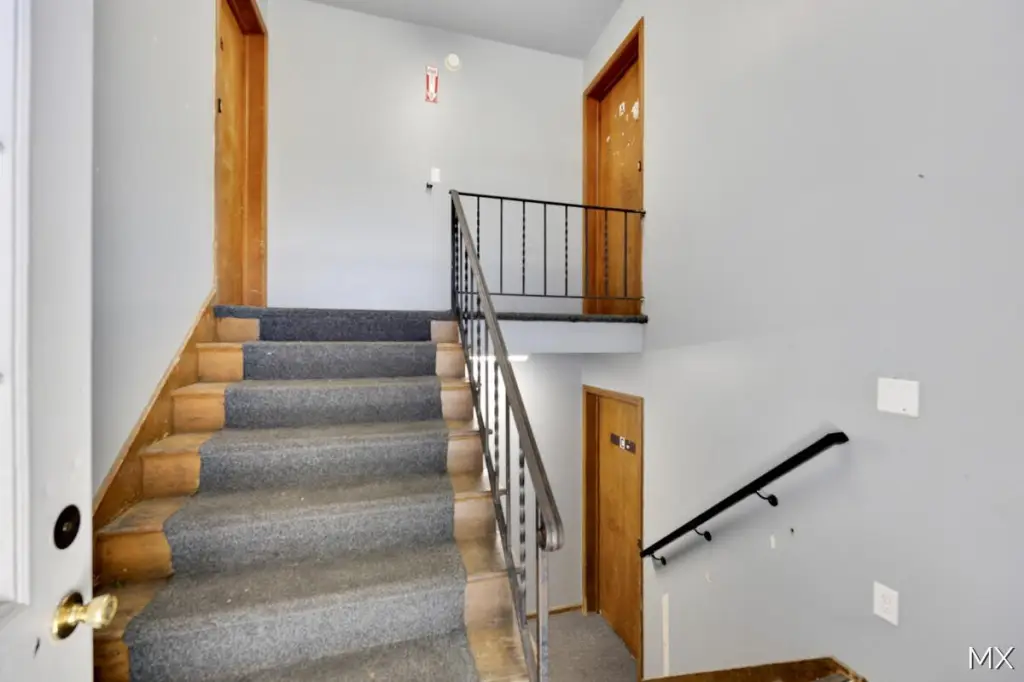 Picture 8