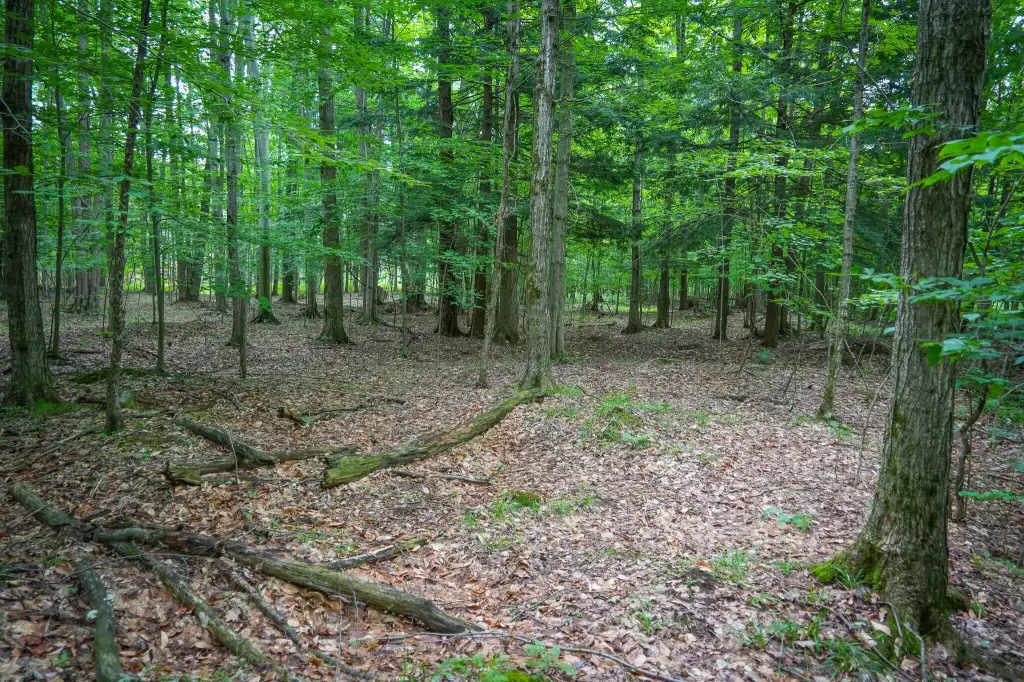 Picture 20