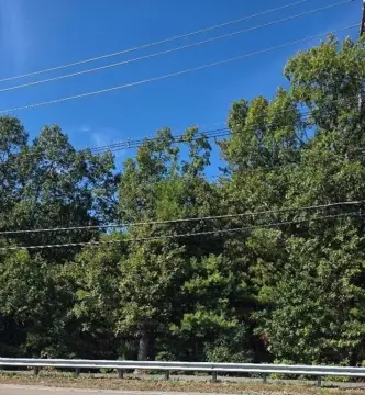 Plainville Residential Lot Opportunity