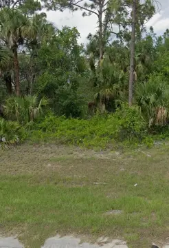 Residential Land in LABELLE, FL