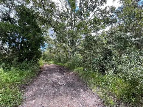 Vacant Land in New Port Richey