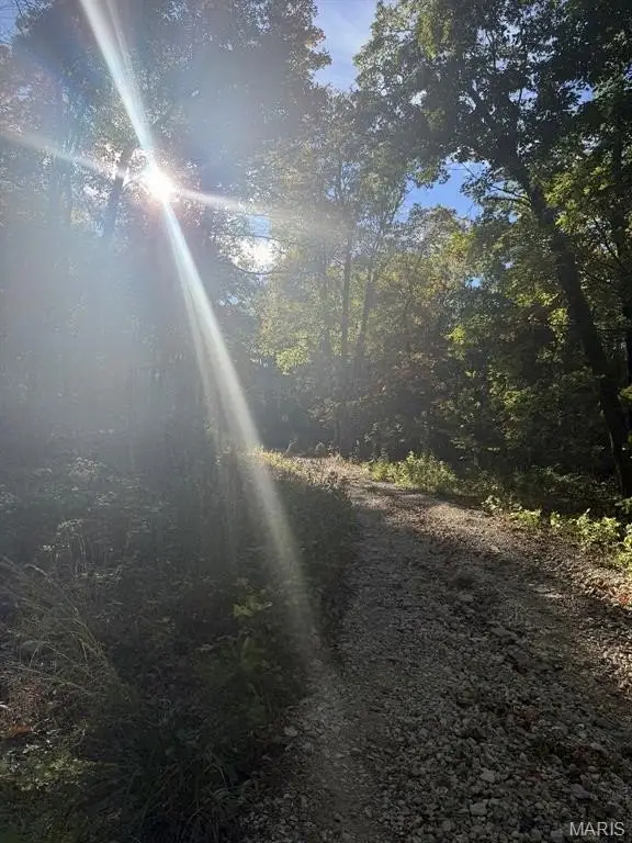 Picture 4