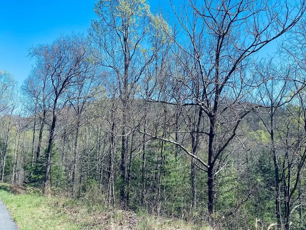 Picture 10