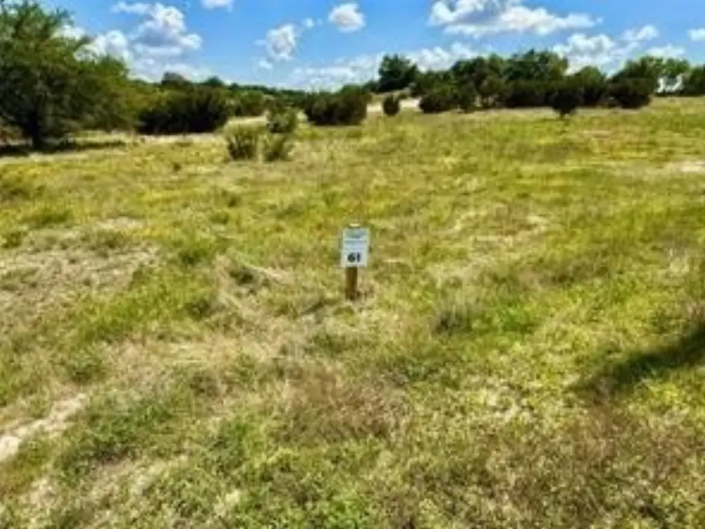 Picture 24