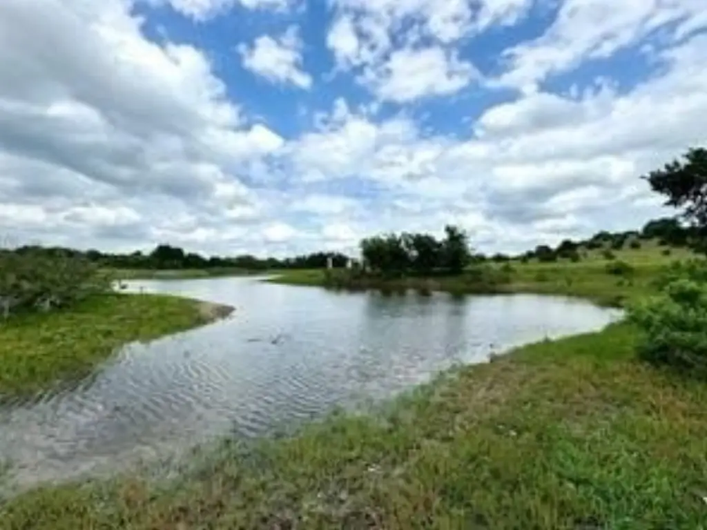 Picture 22