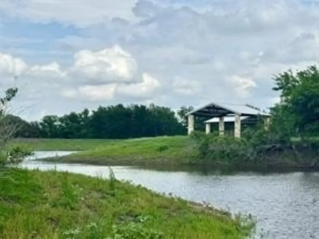 Picture 21
