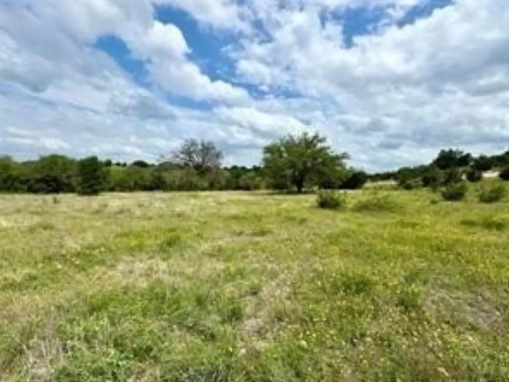 Picture 4