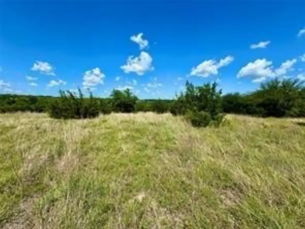 Picture 23