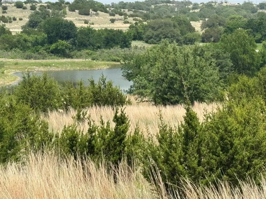 Picture 31