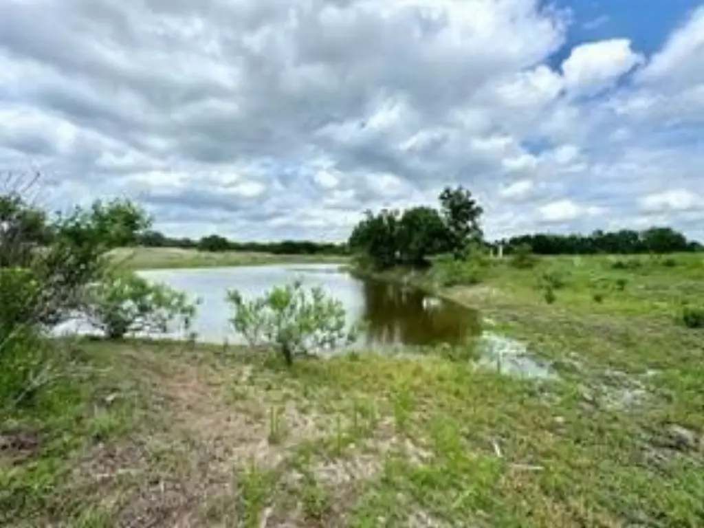 Picture 8