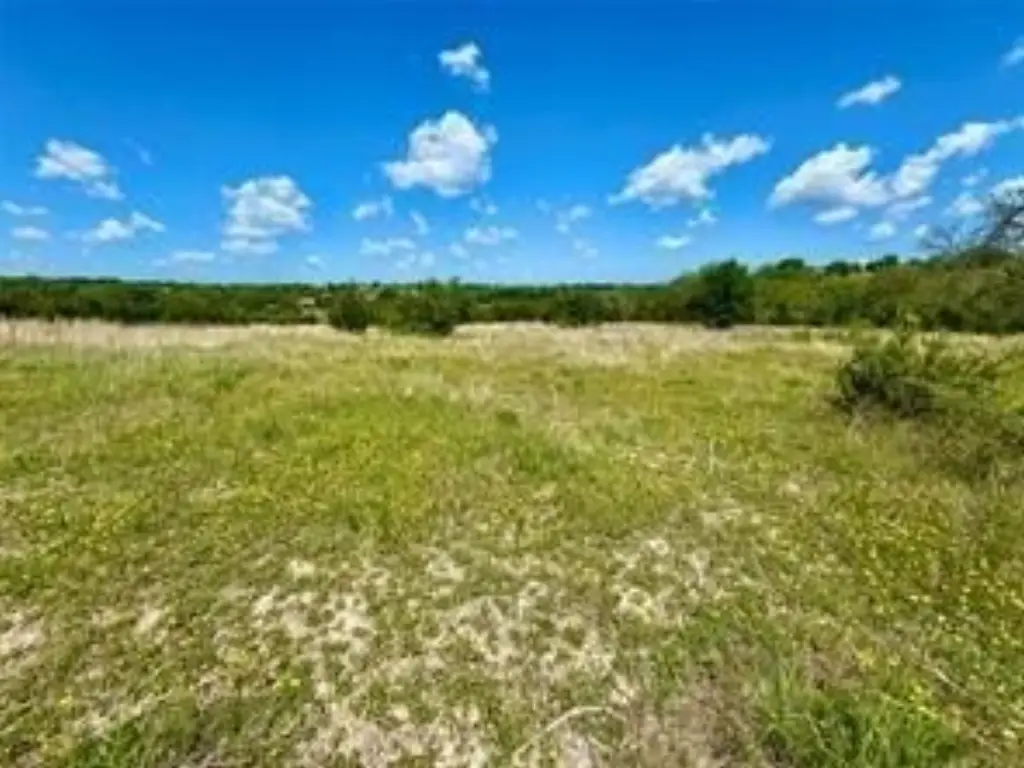 Picture 16