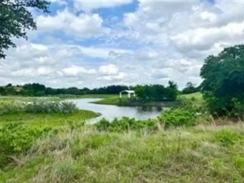 Picture 9