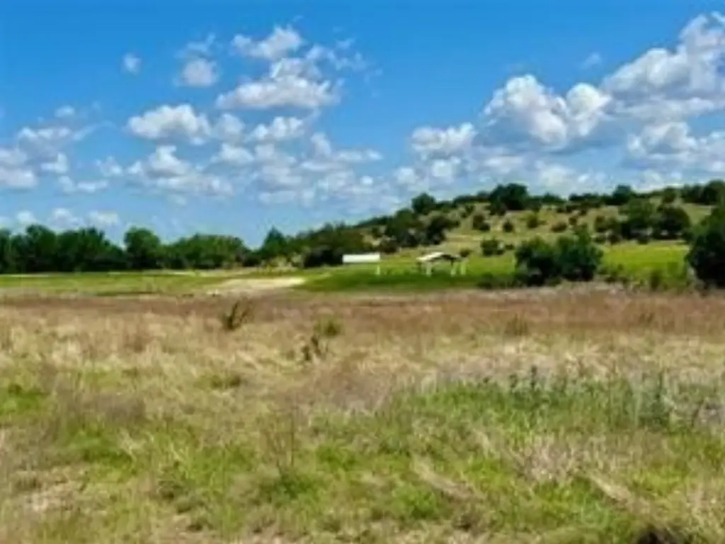 Picture 20