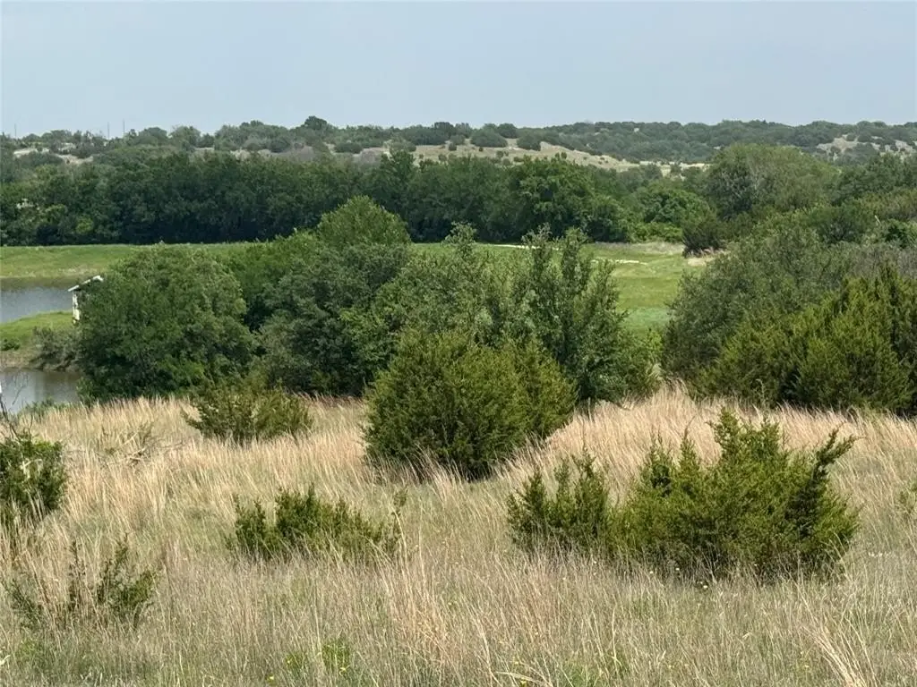Picture 29