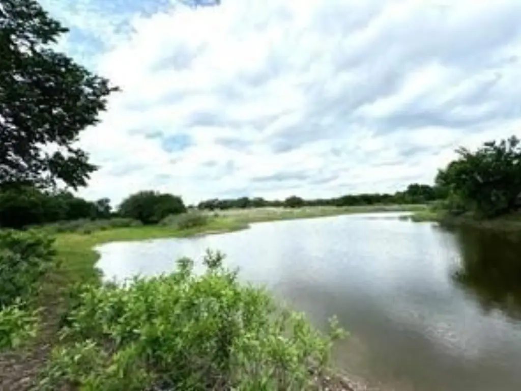 Picture 13