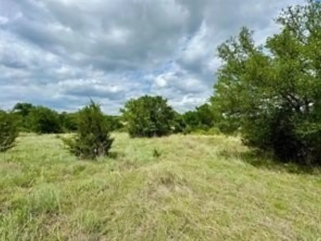 Picture 3