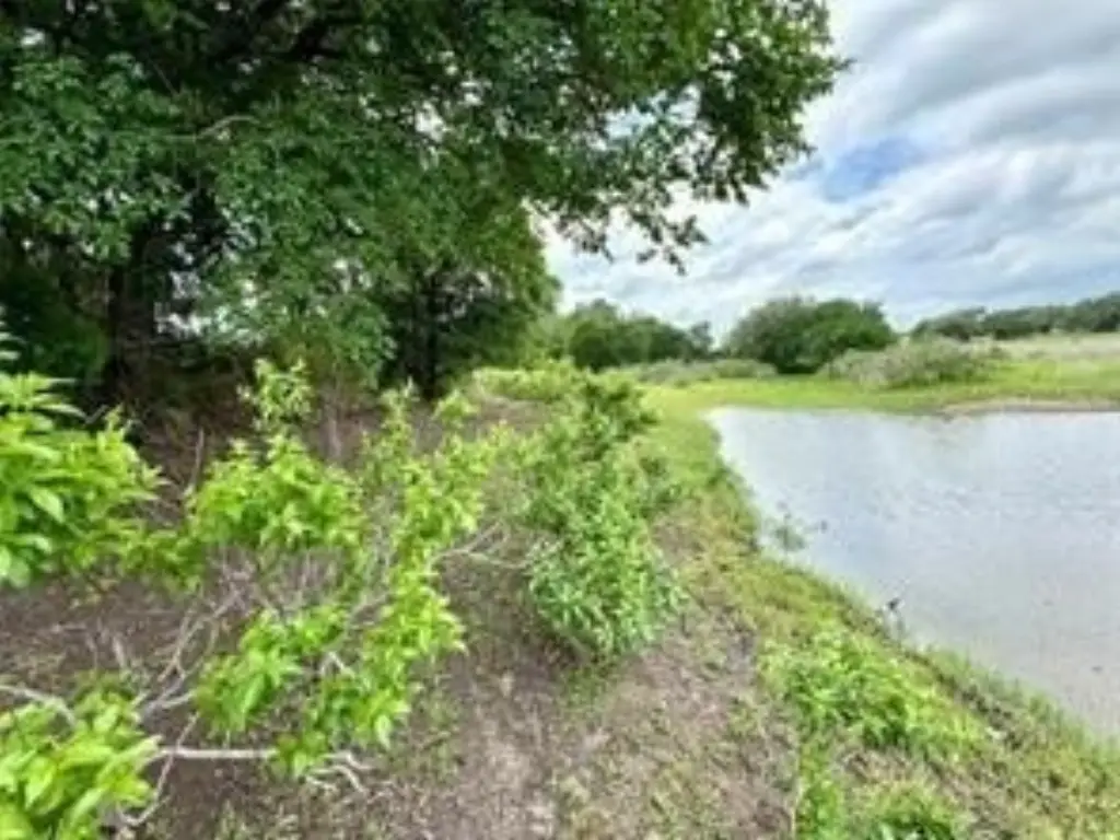 Picture 12