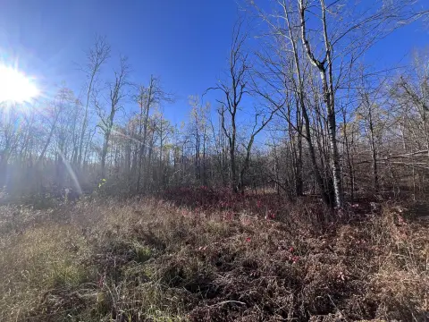 Wooded Lot in Lakes Community