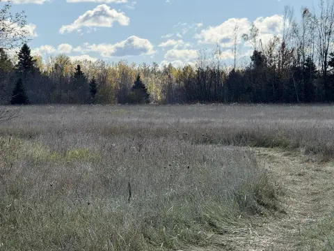 77 Acres Near Cheboygan