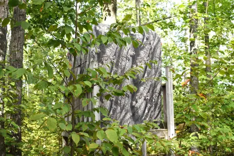 Secluded Hunting Land Near Lakes