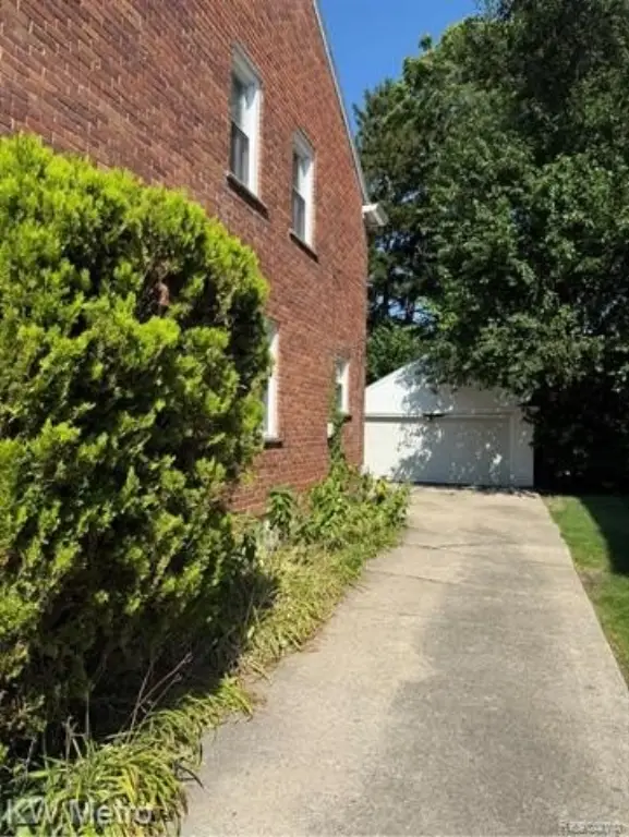 Picture 14