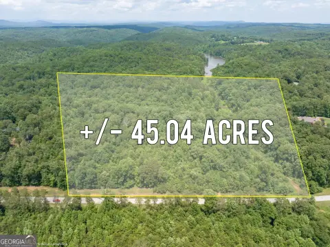 45+ Acre Toccoa Land