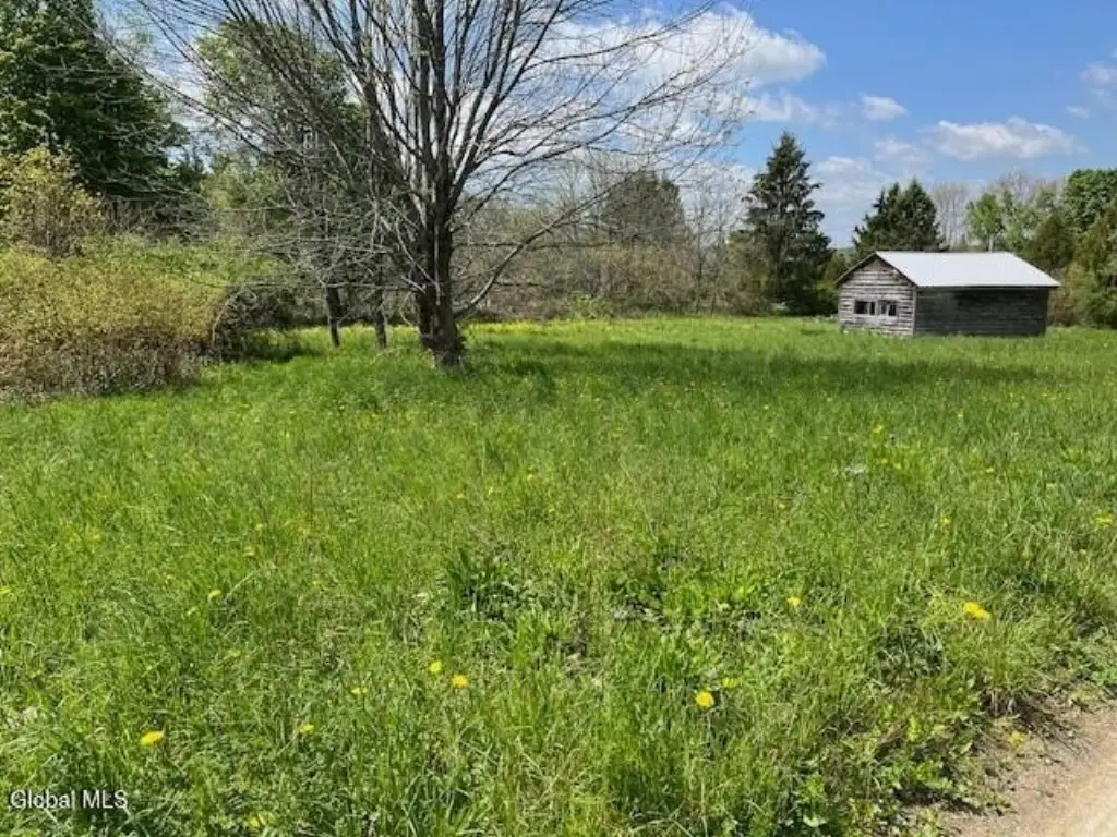 Picture 14