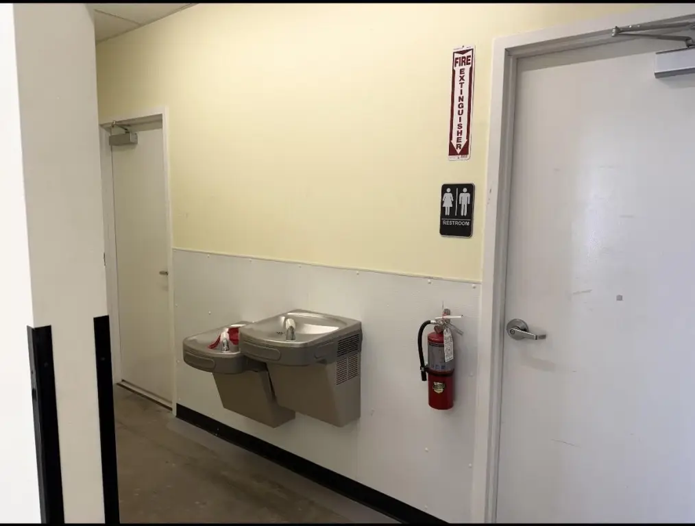 Picture 6