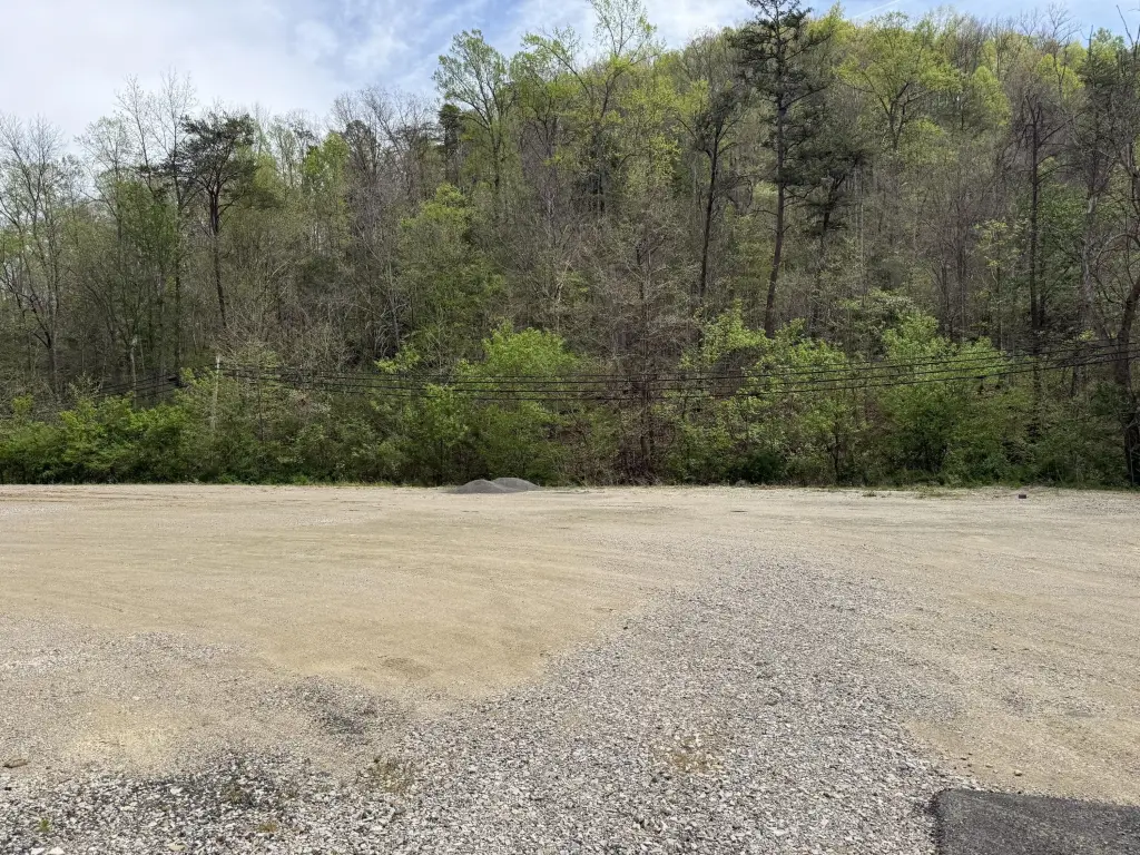 Picture 3