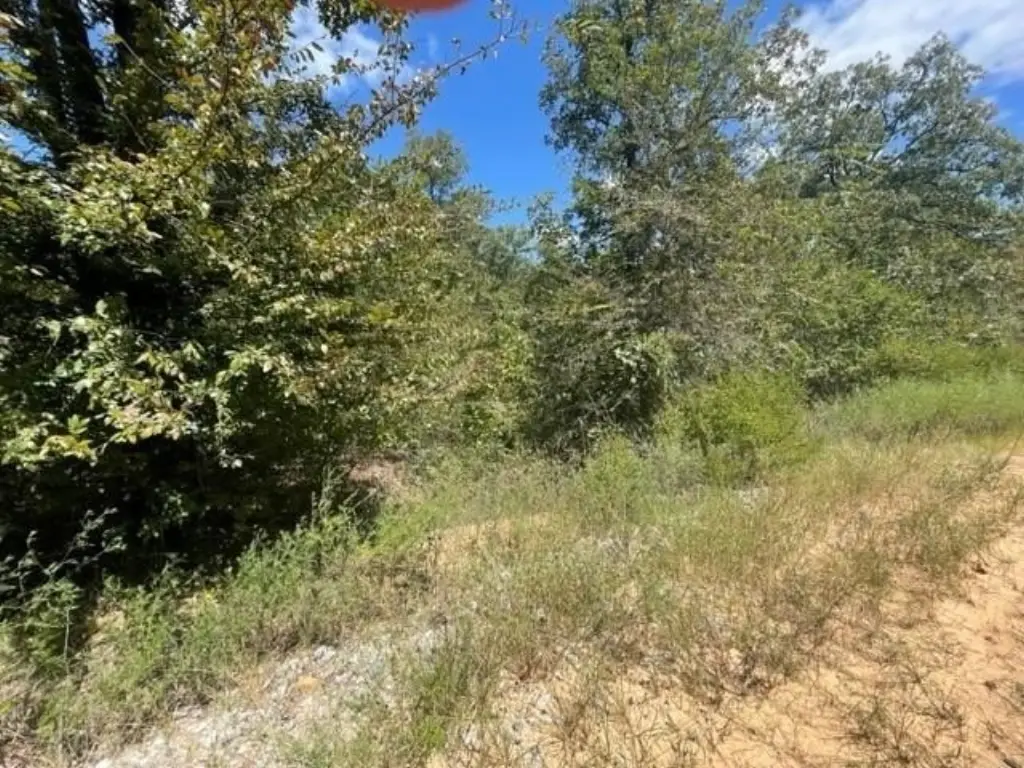 Picture 10