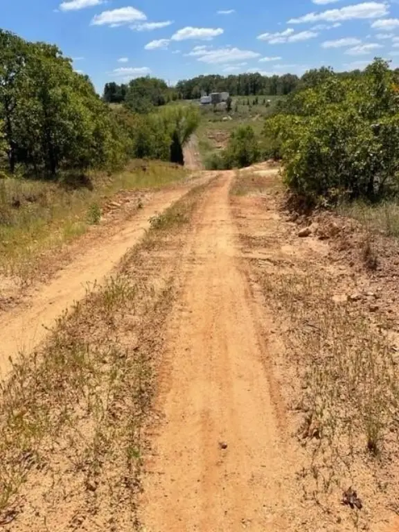 Picture 4