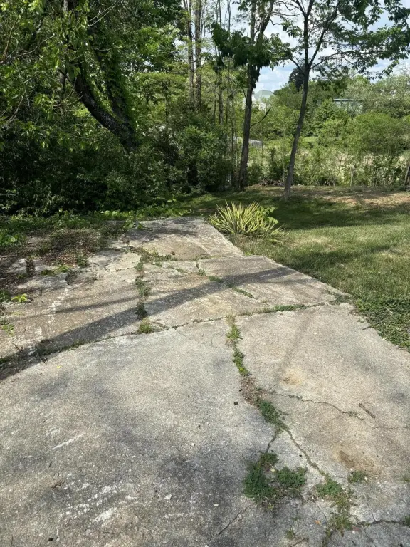 Picture 4